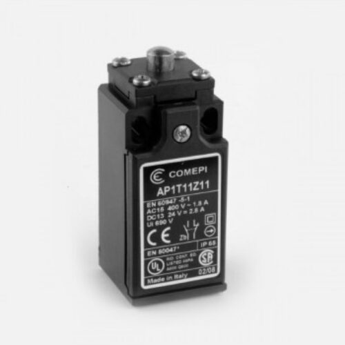 AP1T11Z11 | Finecorsa-Pistoncino in acciaio, corpo 30mm – corpo tecnopolimero IP65  Pg 13,5.